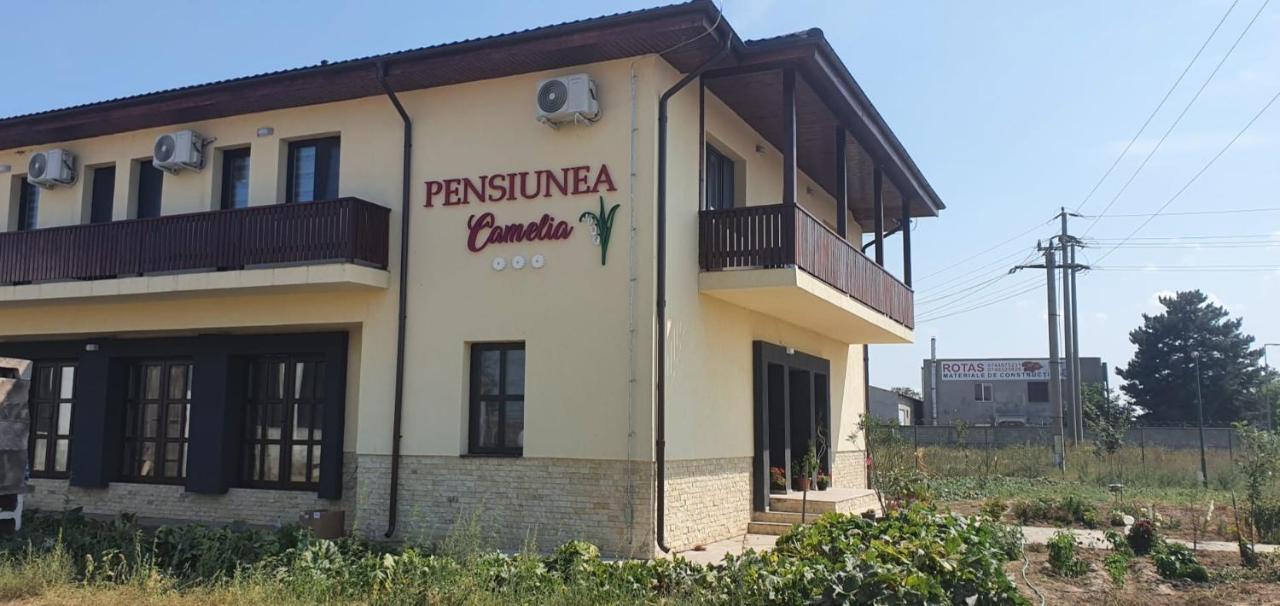 Pensiunea Camelia Baia Ngoại thất bức ảnh