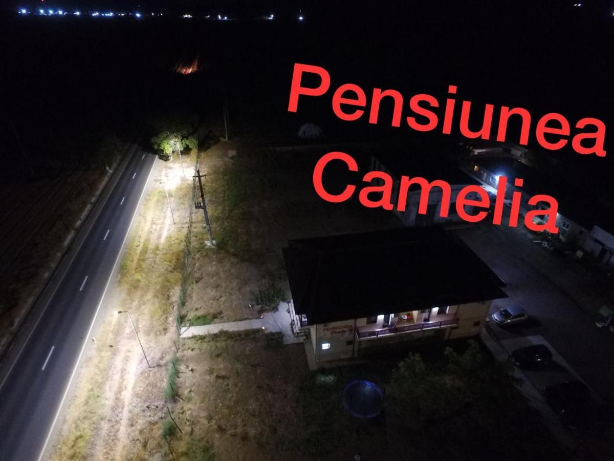 Pensiunea Camelia Baia Ngoại thất bức ảnh